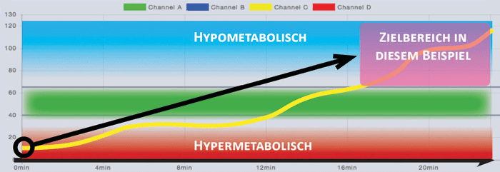 Kurve im hypermetabolischem Bereich